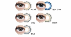 Clearcolor 1-Day -Pearle Winkel Clearcolor 1day