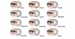 Clearcolor 3-tone 3 Clearcolor 3-tone -Pearle Winkel clearcolor 3 tone colours