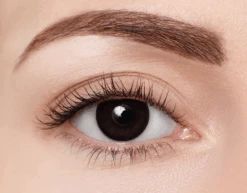 Clearcolor 1-Day Phantom Black Out -Pearle Winkel clearcolor FN101N black out